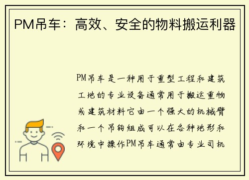 PM吊车：高效、安全的物料搬运利器