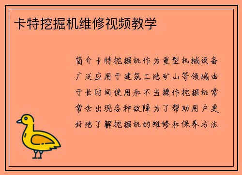 卡特挖掘机维修视频教学